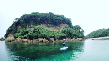 ホワイトウイングに投稿された画像（2021/7/3）