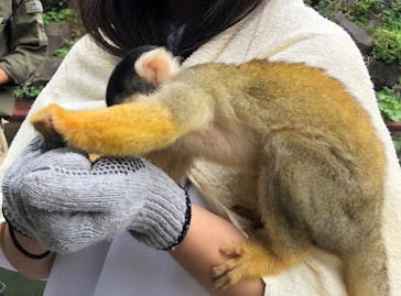 伊豆シャボテン動物公園に投稿された画像（2021/7/10）