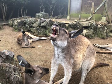 伊豆シャボテン動物公園に投稿された画像（2021/7/10）