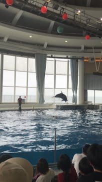 アクアワールド茨城県大洗水族館に投稿された画像（2021/7/10）