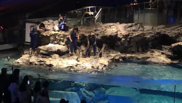 すみだ水族館に投稿された画像（2021/7/10）