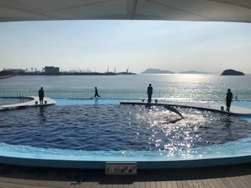 四国水族館に投稿された画像（2021/7/10）