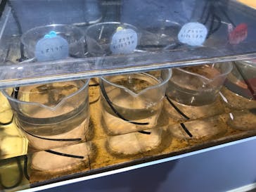 四国水族館に投稿された画像（2021/7/10）