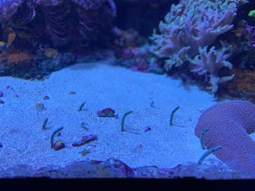 サンシャイン水族館に投稿された画像（2021/7/10）