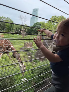 天王寺動物園に投稿された画像（2021/7/10）