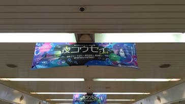 サンシャイン水族館に投稿された画像（2021/7/11）