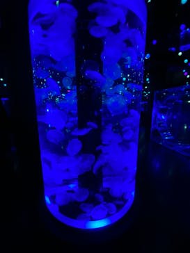 マクセル アクアパーク品川に投稿された画像（2021/7/11）