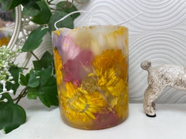 ずこうしつ〜sugamo〜に投稿された画像（2021/7/11）