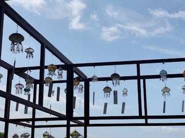 京都水族館に投稿された画像（2021/7/11）