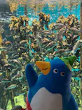 仙台うみの杜水族館に投稿された画像（2021/7/11）