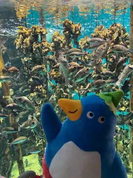 仙台うみの杜水族館に投稿された画像（2021/7/11）