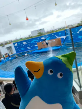 仙台うみの杜水族館に投稿された画像（2021/7/11）