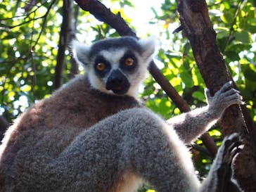 神戸どうぶつ王国に投稿された画像（2021/7/11）