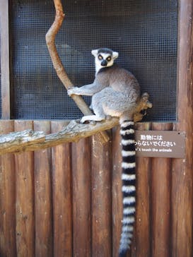 神戸どうぶつ王国に投稿された画像（2021/7/11）