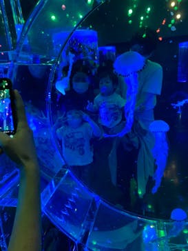 マクセル アクアパーク品川に投稿された画像（2021/7/11）