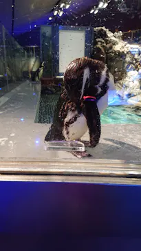 すみだ水族館に投稿された画像（2021/7/11）