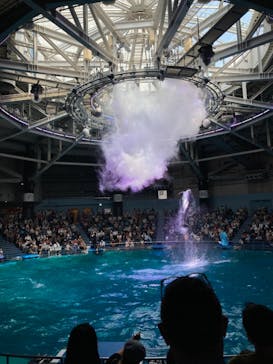 マクセル アクアパーク品川に投稿された画像（2021/7/11）