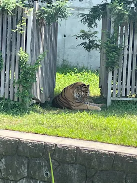 天王寺動物園に投稿された画像（2021/7/11）