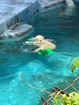 天王寺動物園に投稿された画像（2021/7/11）
