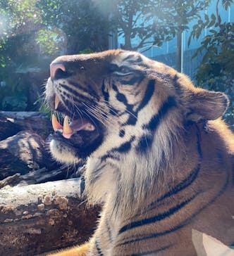 神戸どうぶつ王国に投稿された画像（2021/7/11）