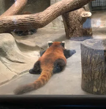 天王寺動物園に投稿された画像（2021/7/11）