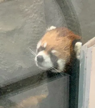 天王寺動物園に投稿された画像（2021/7/11）