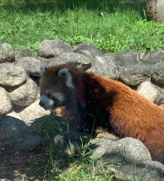天王寺動物園に投稿された画像（2021/7/11）