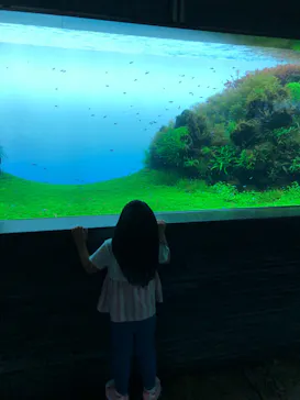 すみだ水族館に投稿された画像（2021/7/11）