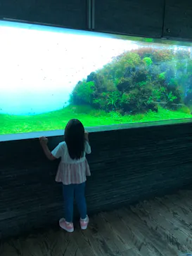 すみだ水族館に投稿された画像（2021/7/11）