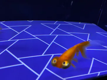 すみだ水族館に投稿された画像（2021/7/11）