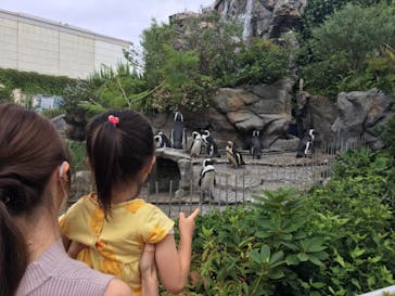 サンシャイン水族館に投稿された画像（2021/7/11）