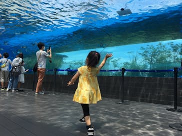 サンシャイン水族館に投稿された画像（2021/7/11）