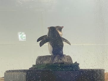 マクセル アクアパーク品川に投稿された画像（2021/7/11）