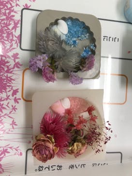 ずこうしつ〜sugamo〜に投稿された画像（2021/7/11）