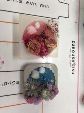 ずこうしつ〜sugamo〜に投稿された画像（2021/7/11）