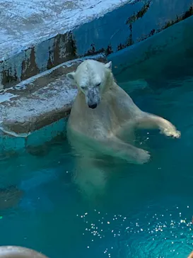 天王寺動物園に投稿された画像（2021/7/11）