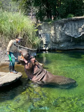 天王寺動物園に投稿された画像（2021/7/11）