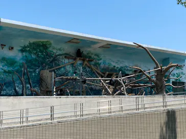 天王寺動物園に投稿された画像（2021/7/11）