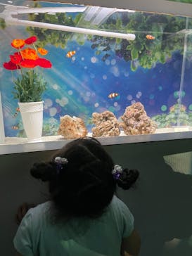 マクセル アクアパーク品川に投稿された画像（2021/7/11）