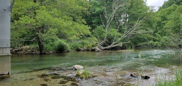 Matatabi（マタタビ）に投稿された画像（2021/7/11）