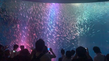 名古屋港水族館に投稿された画像（2021/7/11）