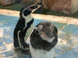 天王寺動物園に投稿された画像（2021/7/11）