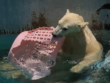 天王寺動物園に投稿された画像（2021/7/11）