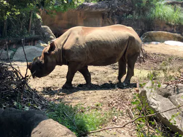天王寺動物園に投稿された画像（2021/7/11）