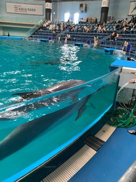 マクセル アクアパーク品川に投稿された画像（2021/7/11）