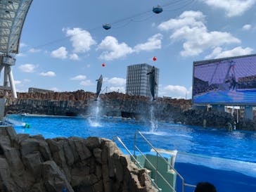名古屋港水族館に投稿された画像（2021/7/11）