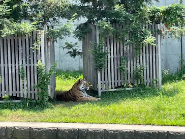天王寺動物園に投稿された画像（2021/7/11）