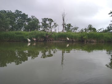 レイクサイドとうろに投稿された画像（2021/7/11）