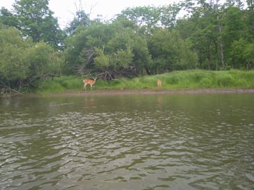 レイクサイドとうろに投稿された画像（2021/7/11）