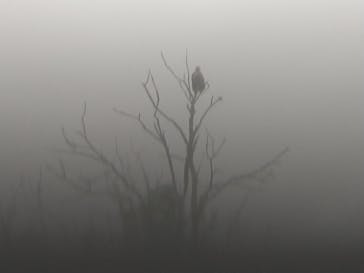 レイクサイドとうろに投稿された画像（2021/7/11）